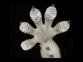 Nanotechnologies: l'invisible révolution