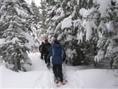 Sentier des Caps de Charlevoix photo-sentierdescapsdecharlevoix-1 (43799)