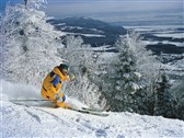 Alpine skiing (Jean Sylvain)