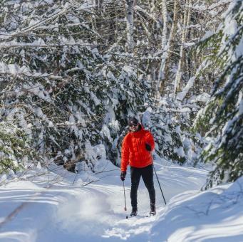 A skier is cross-country skiing on a snowy trail in the Portneuf Wildlife Reserve.