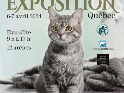 Exposition féline de Québec