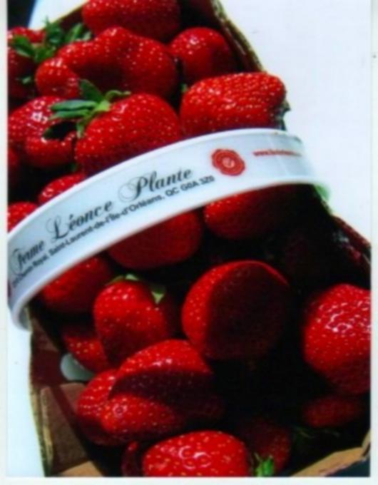 Ferme Léonce Plante - Strawberry basket