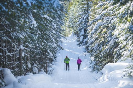 Réserve faunique des Laurentides - Two person cross-country skiing