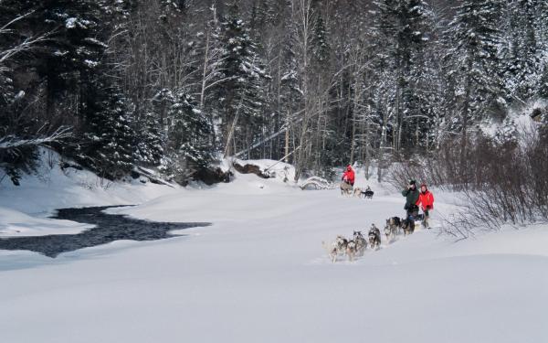 Aventure Inukshuk - Dog sledding in the forest