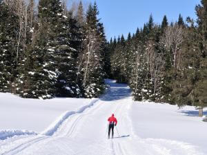Le centre Castor - traçage ski de fond classique